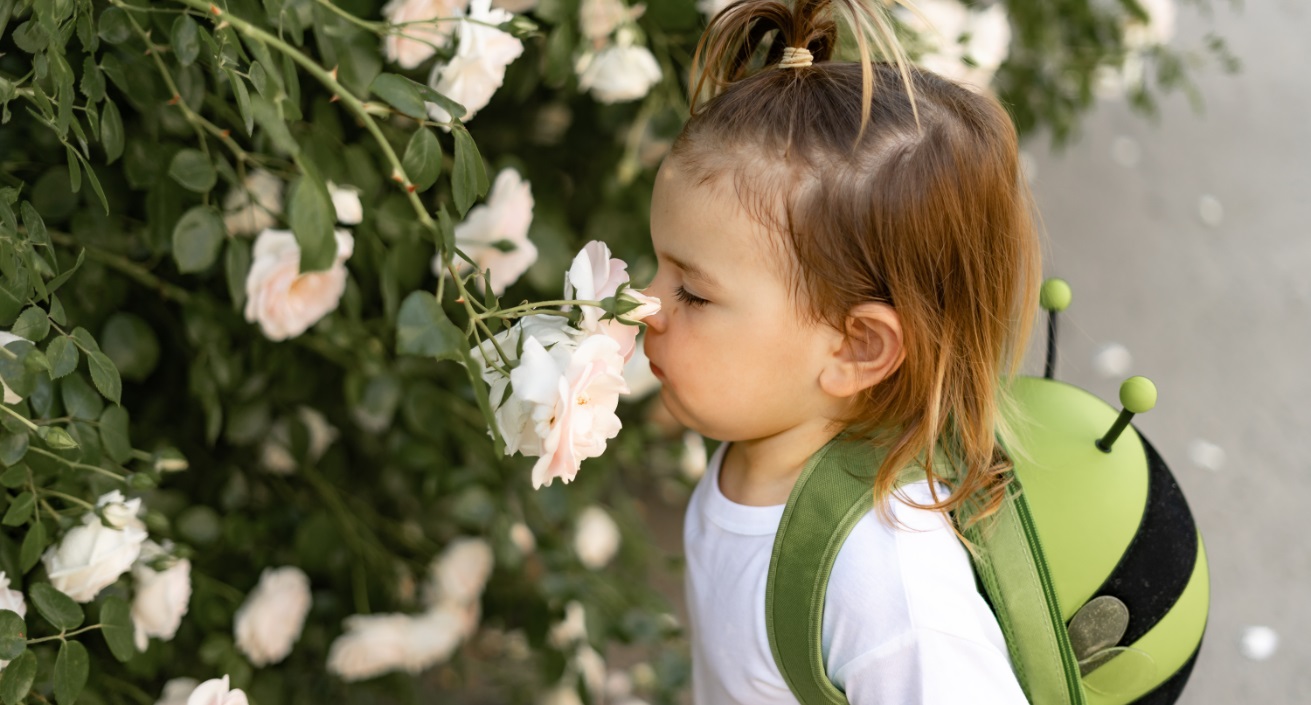 Kindergarten Educational Programs