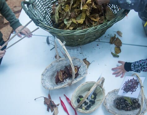 WELCOME FALL!
