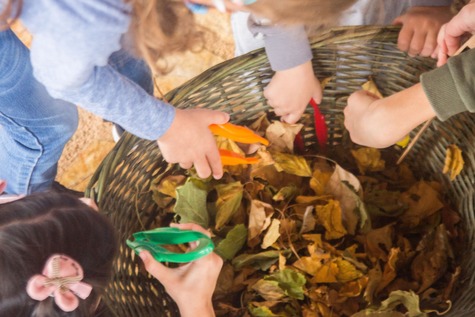 WELCOME FALL!