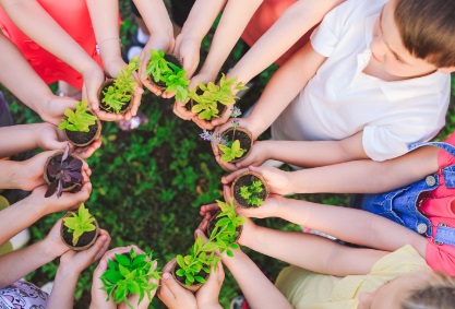 ENVIRONMENT: PROTECTION AND RIGHTS