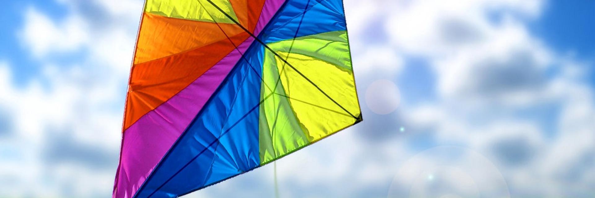 Let’s save the kites!