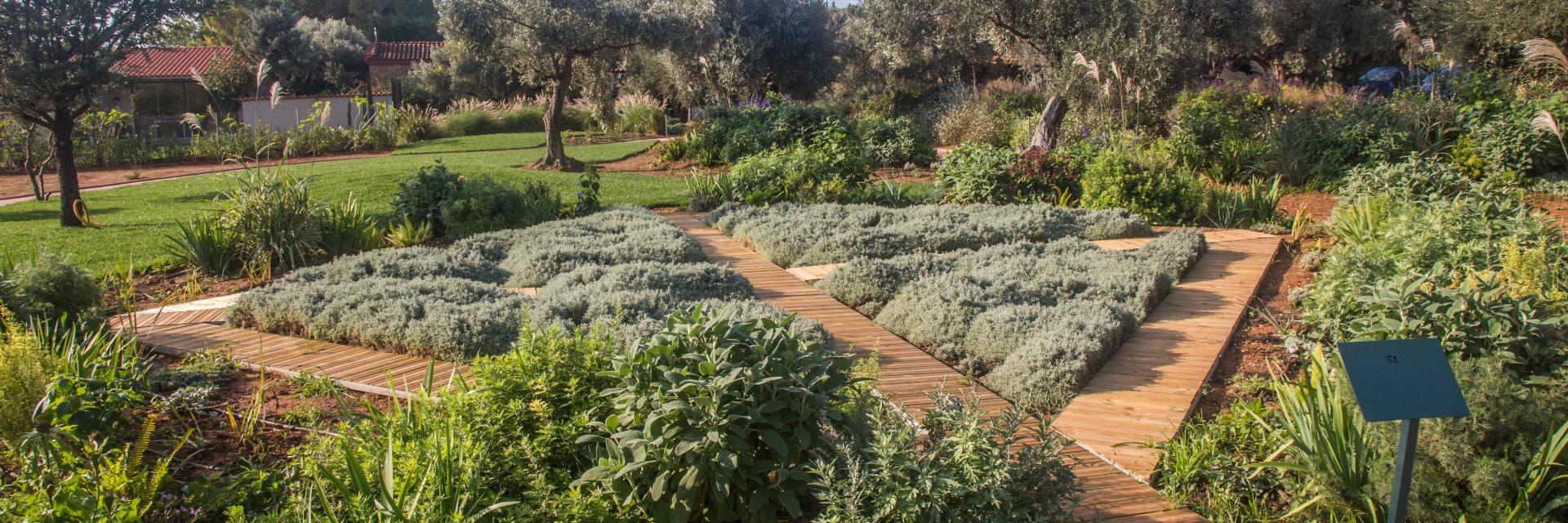 A Tour in the Attica Botanical Park