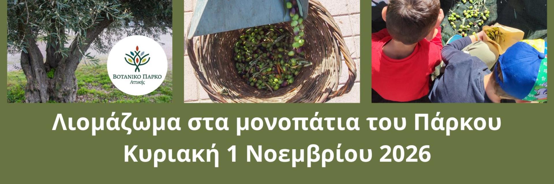 Λιομάζωμα στα Μονοπάτια του Πάρκου