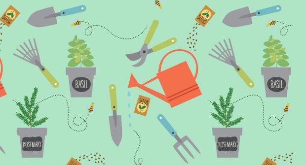 The Botanical’s Park Gardener lost his Tools