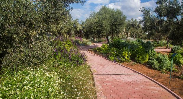 Ξενάγηση στο Βοτανικό Πάρκο Αττικής