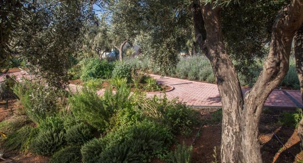 Ξενάγηση στο Βοτανικό Πάρκο Αττικής