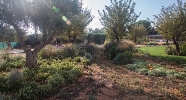 A Tour in the Attica Botanical Park