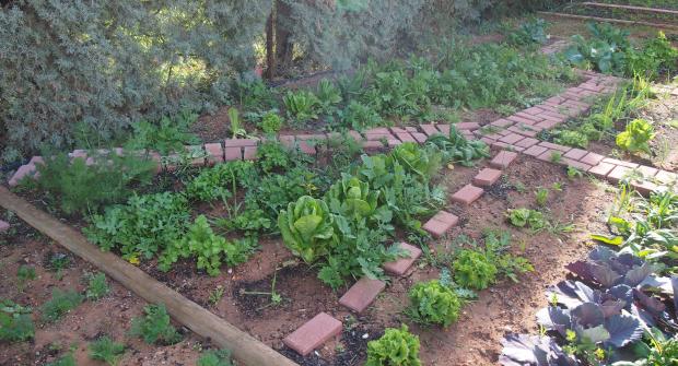 Το Βοτανικό Πάρκο στο πιάτο σας!