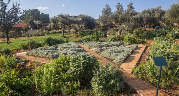 A Tour in the Attica Botanical Park