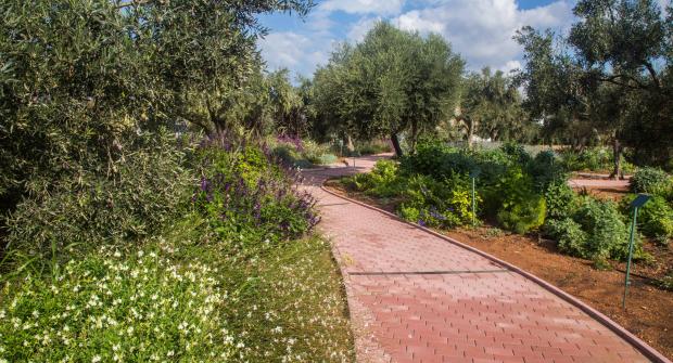 A Tour in the Attica Botanical Park