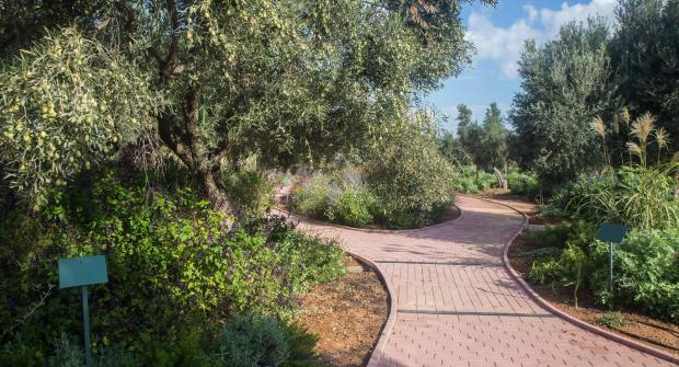 A Tour in the Attica Botanical Park