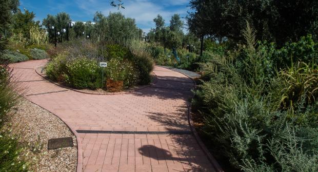 A walk in the Attica Botanical Park