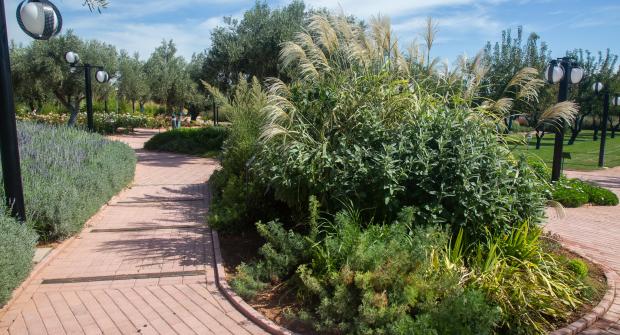 A walk in the Attica Botanical Park