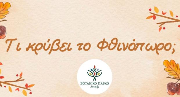 Τι κρύβει το Φθινόπωρο;