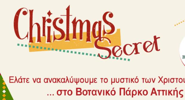 Christmas Secret