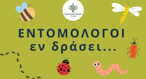 Entomologists in action...