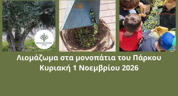 Λιομάζωμα στα Μονοπάτια του Πάρκου